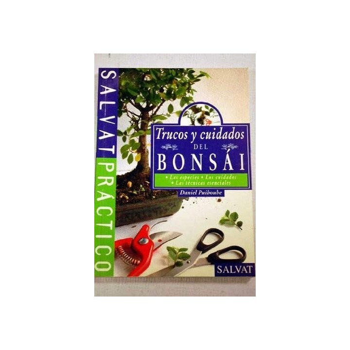 Trucos Y Cuidados Del Bonsai